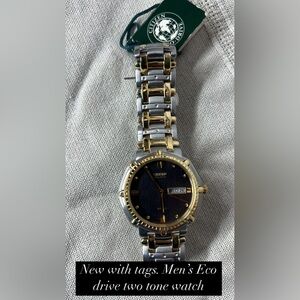 Citizen Eco-Drive Silver and Gold Watch